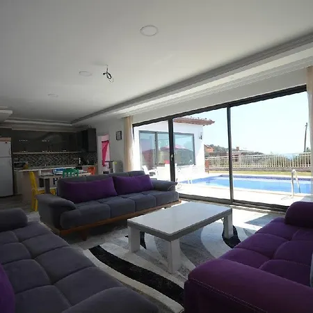 Algi Kalkan