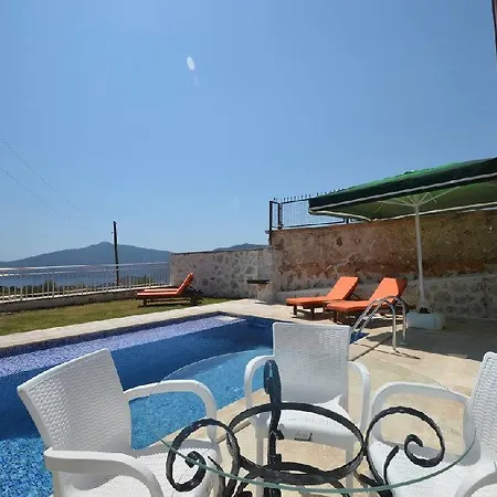 Algi * Kalkan
